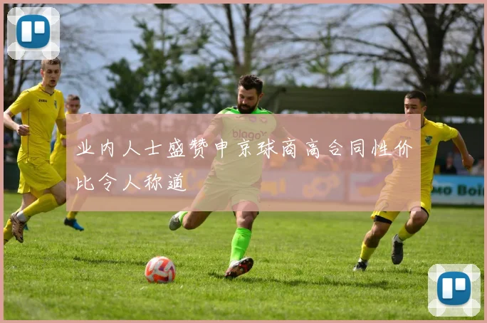 业内人士盛赞申京球商高合同性价比令人称道